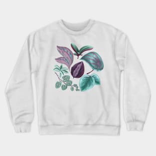 Peperomia Leaves Crewneck Sweatshirt